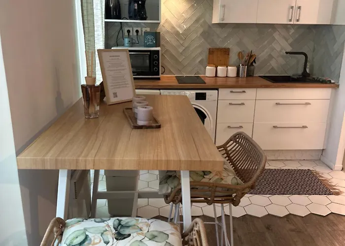 Grand T1 De 38 M2 Au Design Epuree