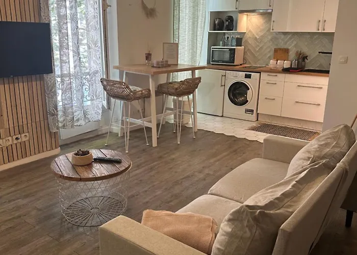 Grand T1 De 38 M2 Au Design Epuree